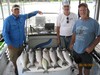 (06/26/2018) - Nice Striped Bass